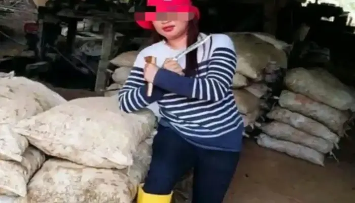 PETI Dengan Putaran Uang Hingga Rp1 Miliar/Bulan, “Mama Tia” Diduga di Balik Sunyi Toheahu