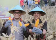 Wali Kota Kotamobagu Weny Gaib Dampingi Kakorbinmas Baharkam Polri Panen Jagung