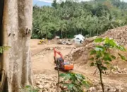 PETI di Nuntab ‘Sakti’, APH Diduga Takut Lakukan Penindakan