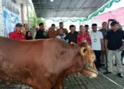 Idul Adha di Manado Kian Bermakna dengan Bantuan Kurban Presiden Prabowo