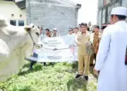 Gubernur Yulius Selvanus Antar Langsung Bantuan Sapi Kurban Presiden di Bolmong