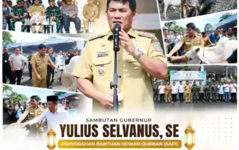 yulius hewan kurban