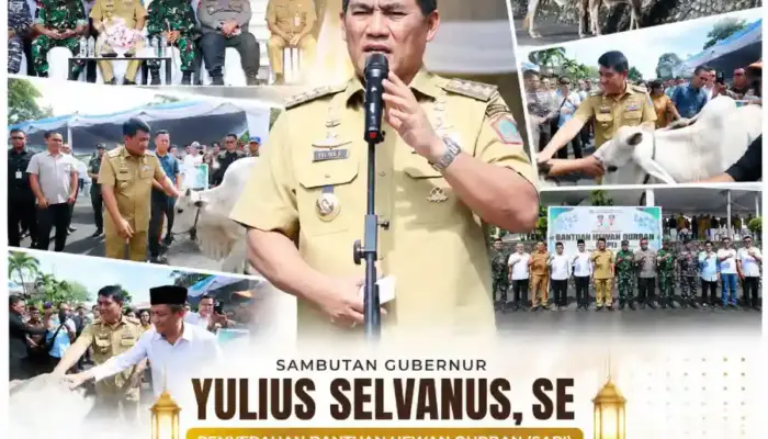 Pemprov Sulut Salurkan 46 Sapi Kurban untuk 15 Kabupaten/Kota
